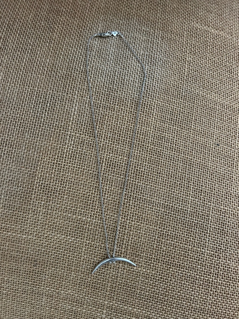 Chan Luu Silver Crescent Necklace